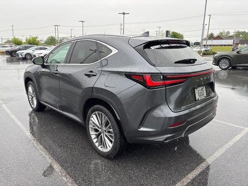 Cloudburst Gray 2025 Lexus NX 350h Premium