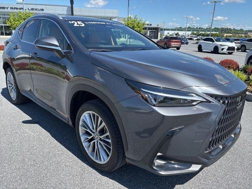 Cloudburst Gray 2025 Lexus NX 350h Premium