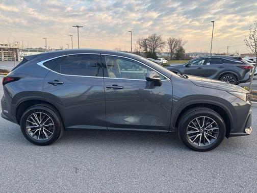 2025 Lexus NX 350 Premium
