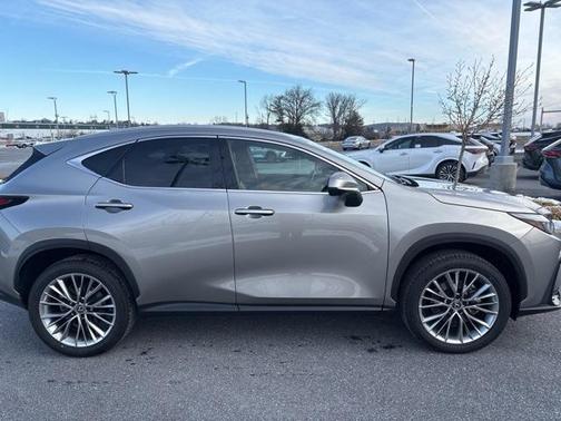 2025 Lexus NX 350 Premium