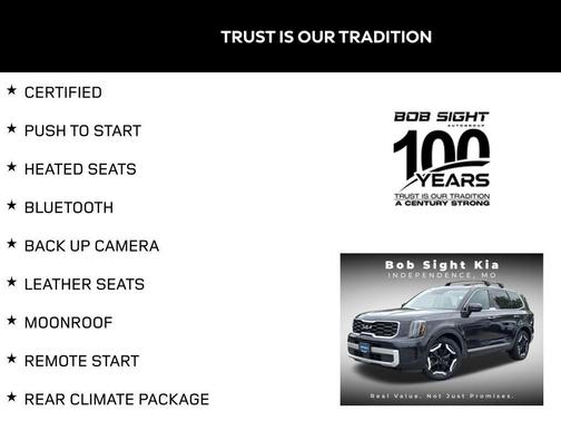 Panthera Metal 2025 Kia Telluride S