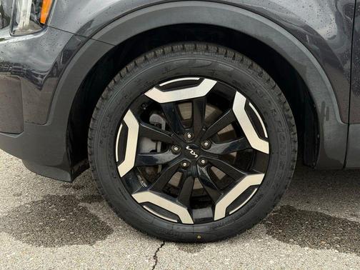 Panthera Metal 2025 Kia Telluride S