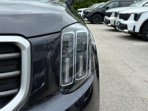 Panthera Metal 2025 Kia Telluride S