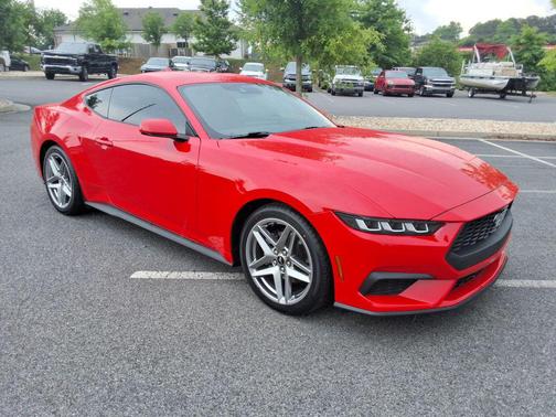 Race Red 2024 Ford Mustang EcoBoost