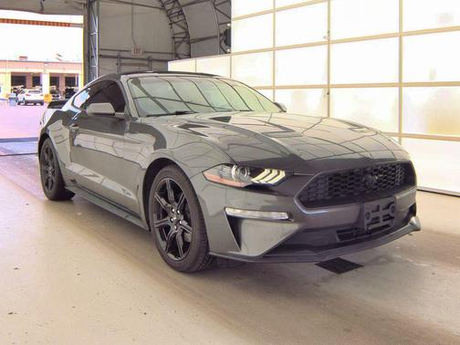 Magnetic 2020 Ford Mustang EcoBoost
