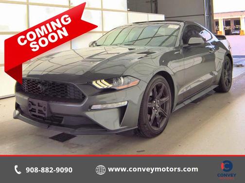 Magnetic 2020 Ford Mustang EcoBoost