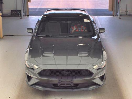 Magnetic 2020 Ford Mustang EcoBoost