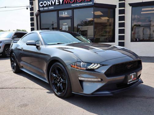Magnetic 2020 Ford Mustang EcoBoost