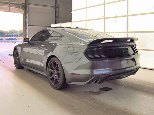 Magnetic 2020 Ford Mustang EcoBoost
