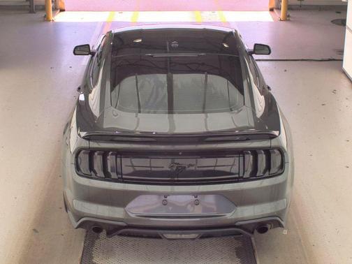 Magnetic 2020 Ford Mustang EcoBoost