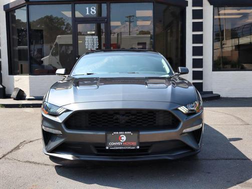 Magnetic 2020 Ford Mustang EcoBoost