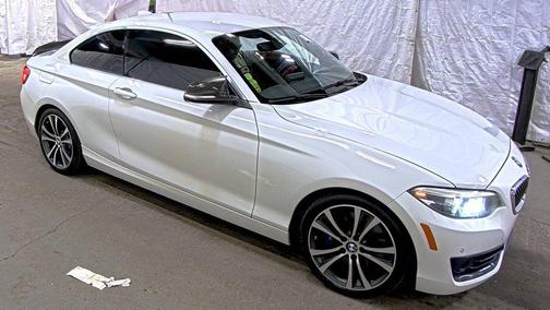 Alpine White 2019 BMW 230 xDrive