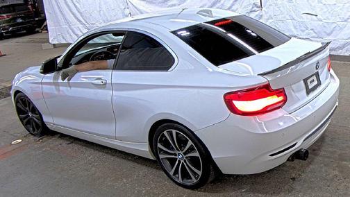 Alpine White 2019 BMW 230 xDrive