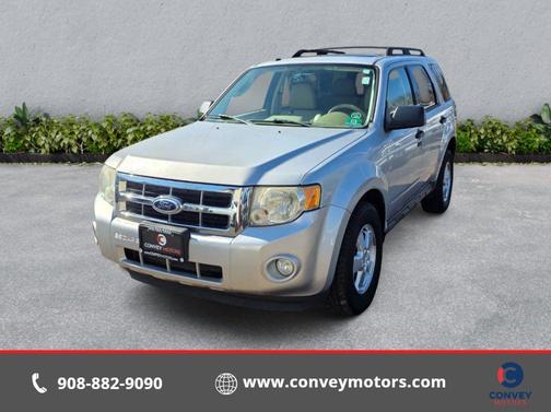 Ingot Silver Metallic 2010 Ford Escape XLT