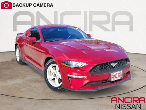 Ruby Red Metallic 2019 Ford Mustang EcoBoost