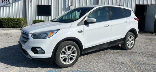 White 2019 Ford Escape SE