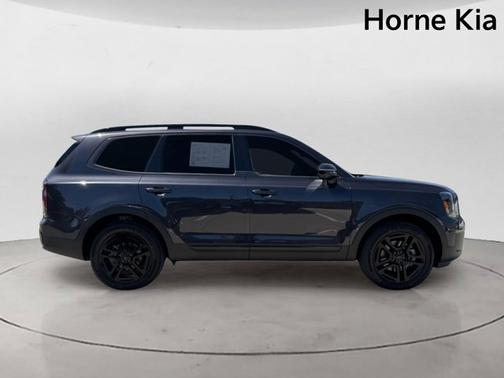 Panthera Metal 2025 Kia Telluride SX-Prestige X-Line
