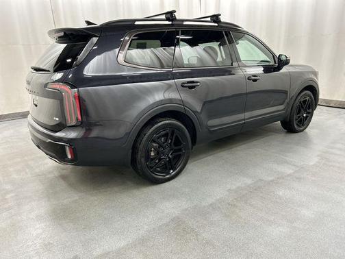Panthera Metal 2025 Kia Telluride SX Prestige X-Line