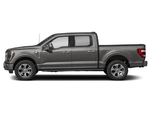Carbonized Gray Metallic 2021 Ford F-150 Platinum