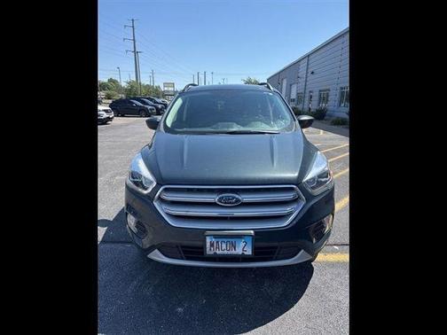 Sea Green 2019 Ford Escape SEL