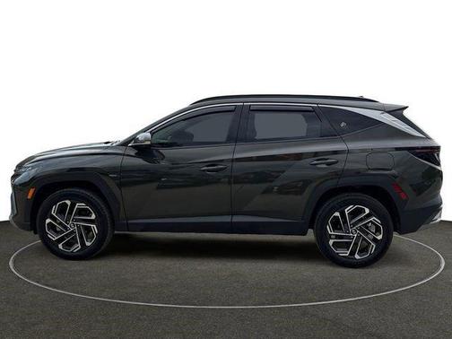 Rockwood Green 2025 Hyundai TUCSON Limited