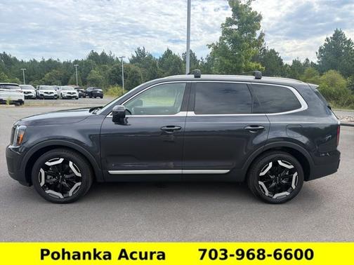 Panthera Metal 2025 Kia Telluride EX