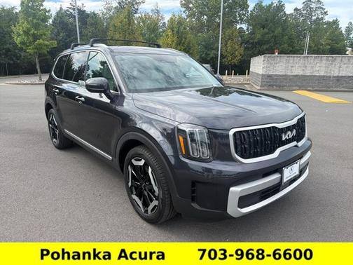 Panthera Metal 2025 Kia Telluride EX