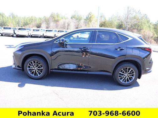 2024 Lexus NX 350h Premium
