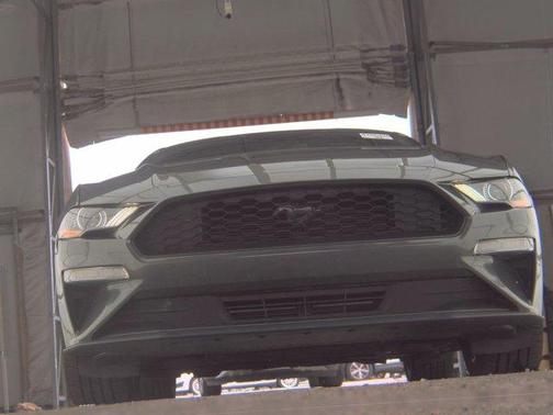 Magnetic Metallic 2019 Ford Mustang EcoBoost