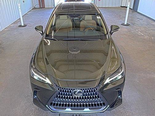 2023 Lexus NX 250 Premium
