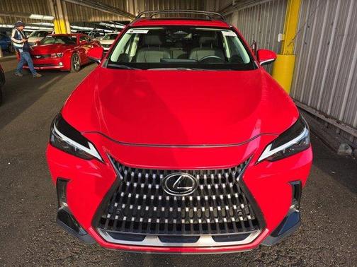 Redline 2024 Lexus NX 350h Premium