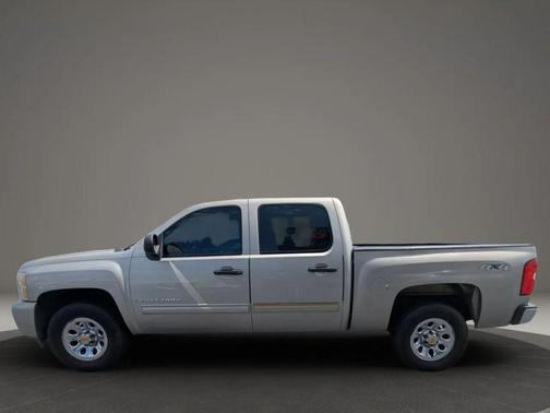 2009 Chevrolet Silverado 1500 LS Crew Cab