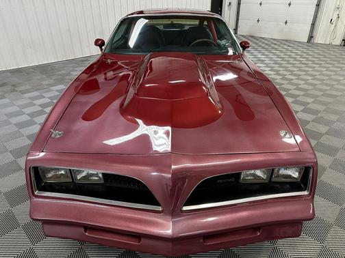 1980 Pontiac Firebird Trans Am