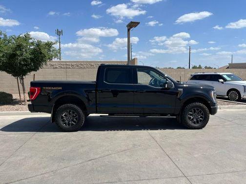 Agate Black Metallic 2023 Ford F-150 Tremor