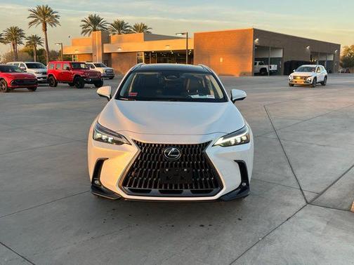 2025 Lexus NX 450h+ Luxury