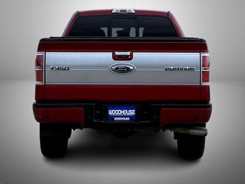 2013 Ford F-150 Platinum
