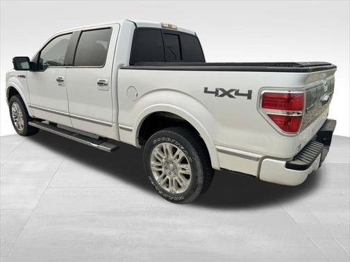 2010 Ford F-150 Platinum