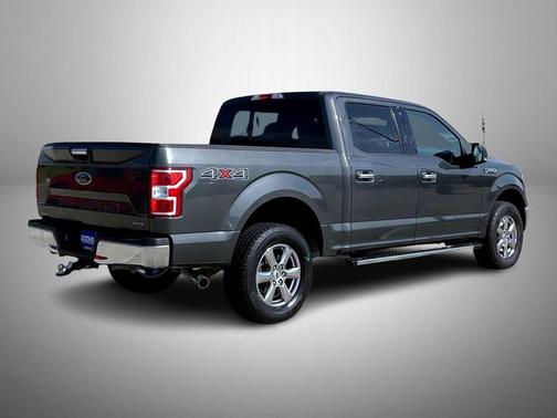 Magnetic 2019 Ford F-150 XLT