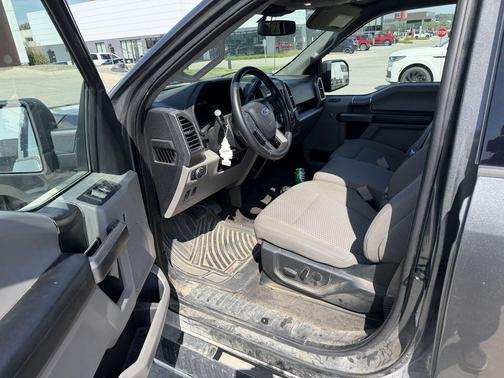 Magnetic 2019 Ford F-150 XLT