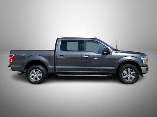 Magnetic 2019 Ford F-150 XLT