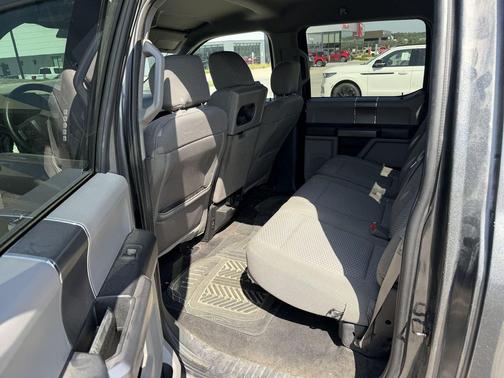 Magnetic 2019 Ford F-150 XLT