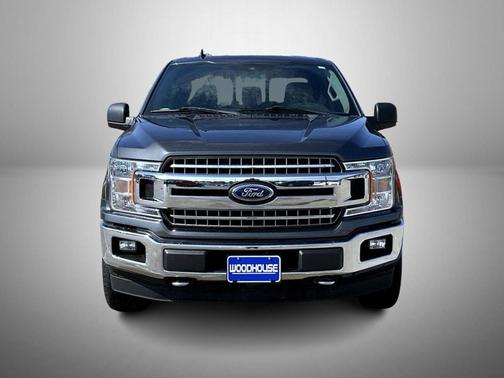 Magnetic 2019 Ford F-150 XLT