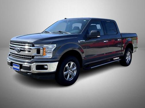 Magnetic 2019 Ford F-150 XLT