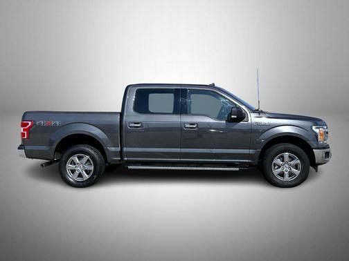 Magnetic 2019 Ford F-150 XLT