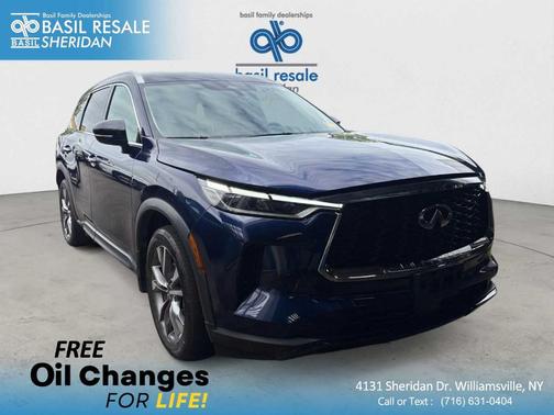 Grand Blue 2023 INFINITI QX60 Luxe