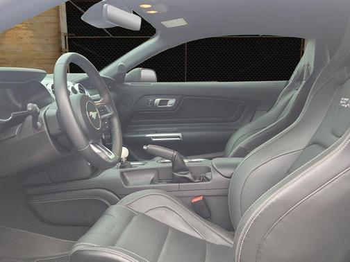 Fighter Jet Gray 2021 Ford Mustang Mach 1