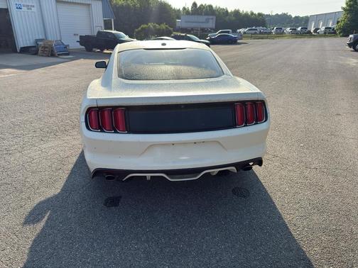 2015 Ford Mustang GT 50 Years Limited Edition
