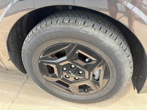 Panthera Metal 2025 Kia Carnival LXS