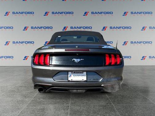 Magnetic Metallic 2019 Ford Mustang EcoBoost Premium