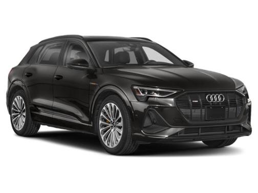 Glacier White Metallic 2023 Audi e-tron Premium Plus quattro